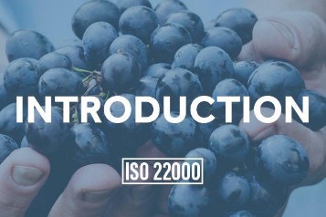 Làm thế nào để một công ty đạt được chứng nhận ISO 22000?