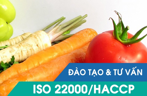 TƯ VẤN ISO 22000 – Các bước thực hiện