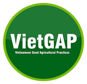 vietgap