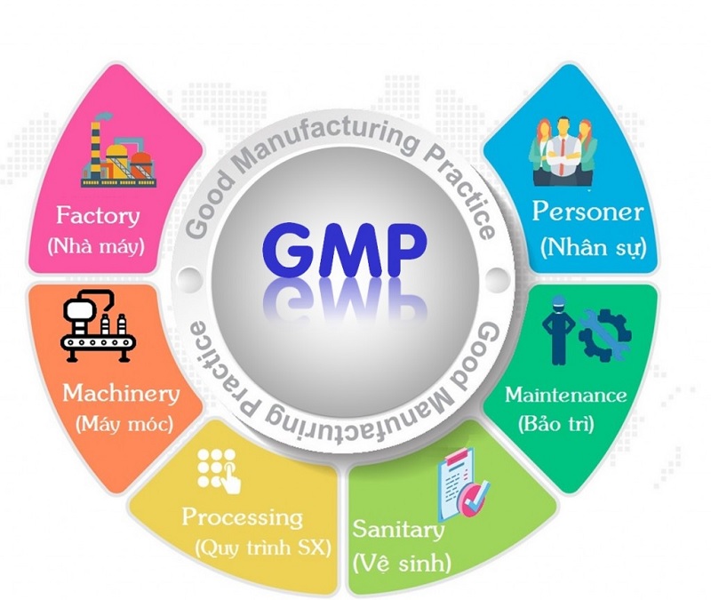 GMP là gì? Nội dung chính của tiêu chuẩn GMP